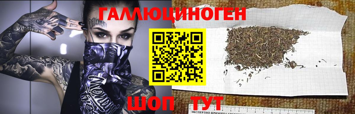 Псилоцибиновые грибы мицелий Советский